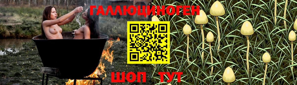 продажа наркотиков  Псилоцибиновые грибы мухоморы  Вход с VPN  Нововоронеж  Псилоцибиновые грибы мухоморы 